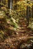IMG_0093