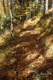 IMG_0094