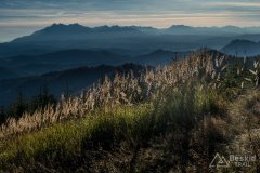 IMG_0095