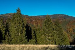 IMG_0096