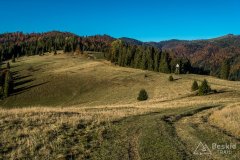 IMG_0098
