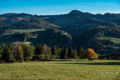 IMG_0099