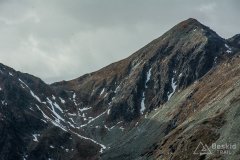 DSC0123