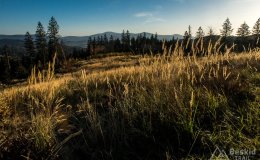 IMG_0181
