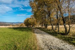 IMG_0133