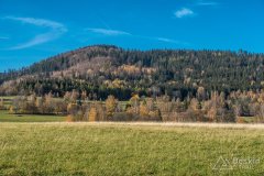 IMG_0134