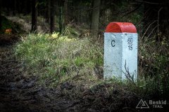 IMG_0137