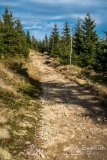 IMG_0142
