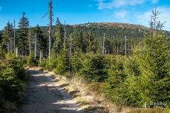 IMG_0143