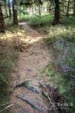 IMG_0159