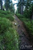 IMG_0160