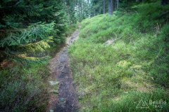 IMG_0161