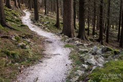 IMG_0165