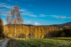 IMG_0166