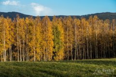IMG_0167