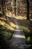 IMG_0170