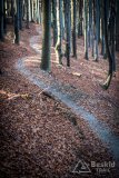 IMG_0171