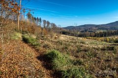 IMG_0173