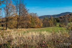 IMG_0174