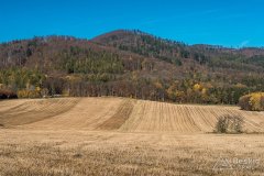 IMG_0177