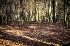 IMG_0179