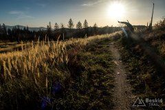 IMG_0180