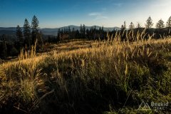 IMG_0181