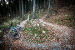 IMG_0182