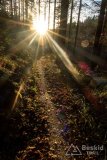IMG_0183