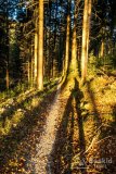 IMG_0184
