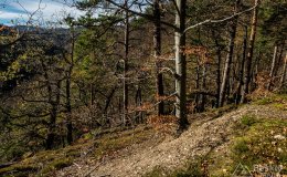 IMG_0188