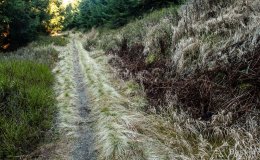 IMG_0264