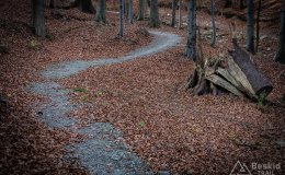 IMG_0296