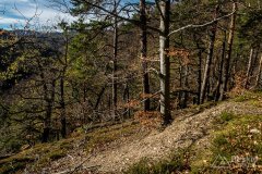 IMG_0188