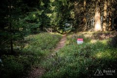 IMG_0192