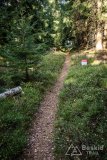 IMG_0193