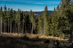 IMG_0197