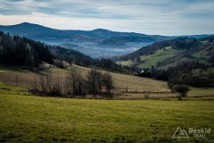 IMG_0200