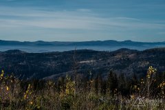 IMG_0205