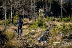 IMG_0208