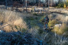 IMG_0216