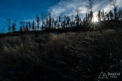IMG_0218