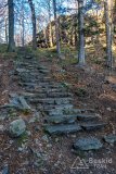 IMG_0220
