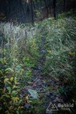 IMG_0227