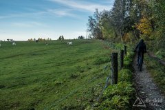 IMG_0233