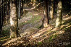 IMG_0236