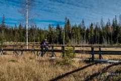IMG_0237