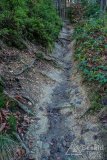 IMG_0239