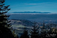 IMG_0242
