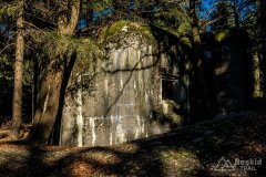 IMG_0247